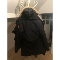 Canada goose has