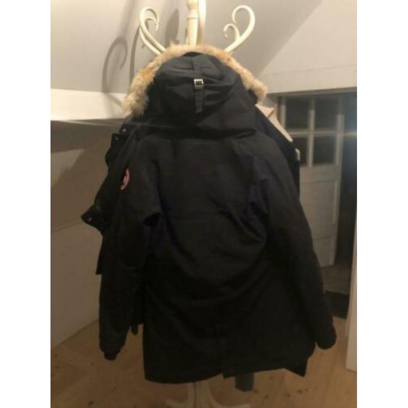 Canada goose has