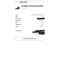 Nike Air Jordan 1 High Pine Green 42