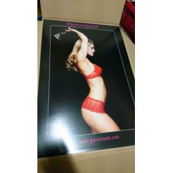 Passionata kartonnen posters (nieuw)