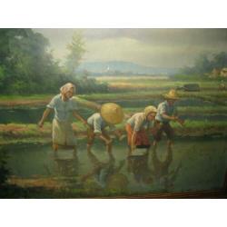 Bali, Indonesie, rijst planten, olieverf op doek