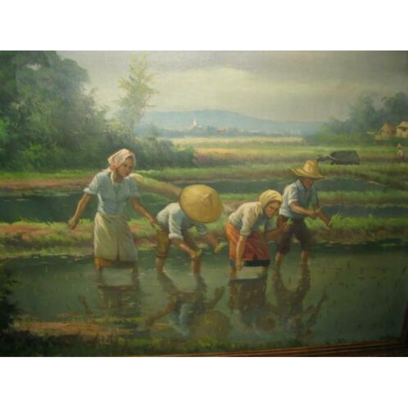Bali, Indonesie, rijst planten, olieverf op doek
