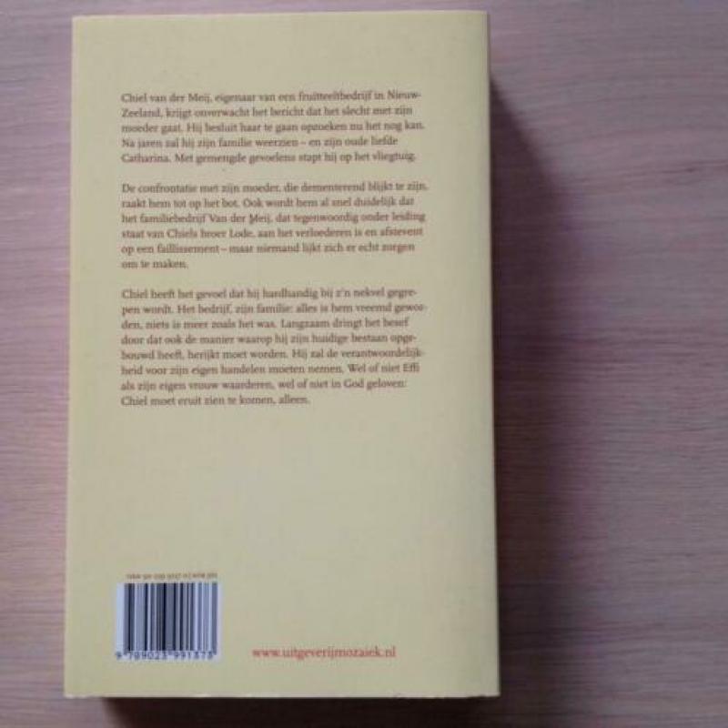 Snoeitijd - Joke Verweerd