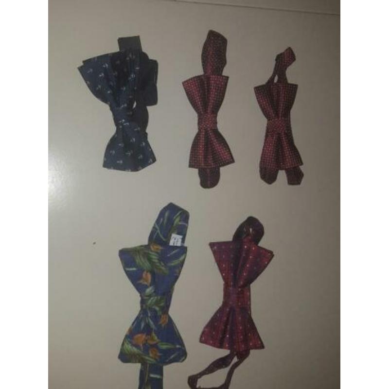 Vlinderdas/vlinderstrik blauw Zara H&M bowtie (scotch soda)