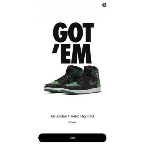 Nike Air Jordan 1 High Pine Green 42