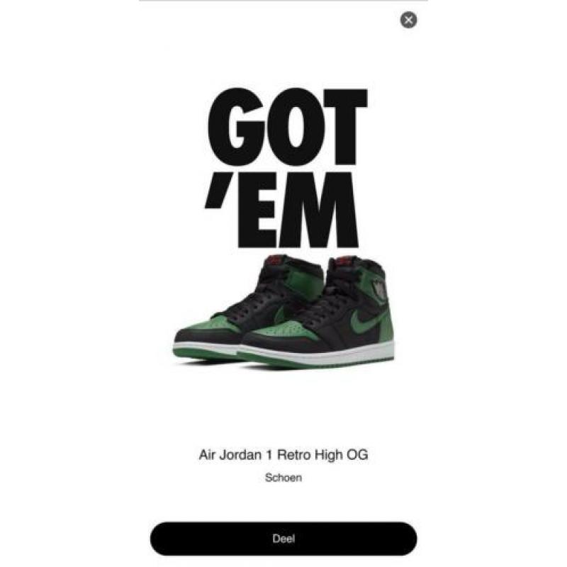Nike Air Jordan 1 High Pine Green 42