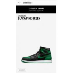 Nike Air Jordan 1 High Pine Green 42