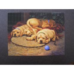 Dubbele kaart met afbeelding van hond / honden