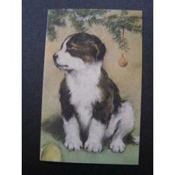 Dubbele kaart met afbeelding van hond / honden