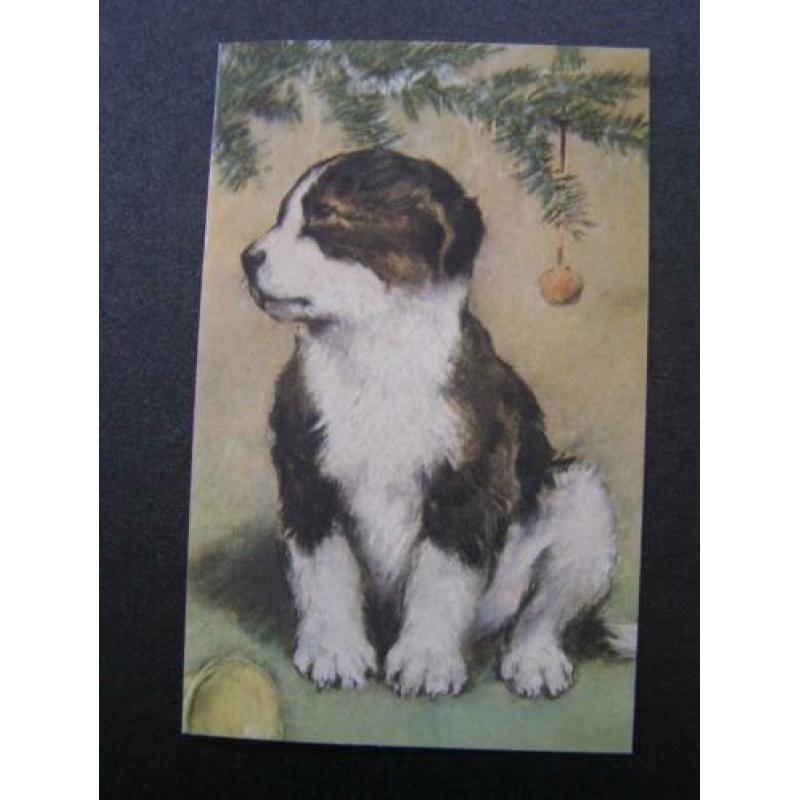 Dubbele kaart met afbeelding van hond / honden