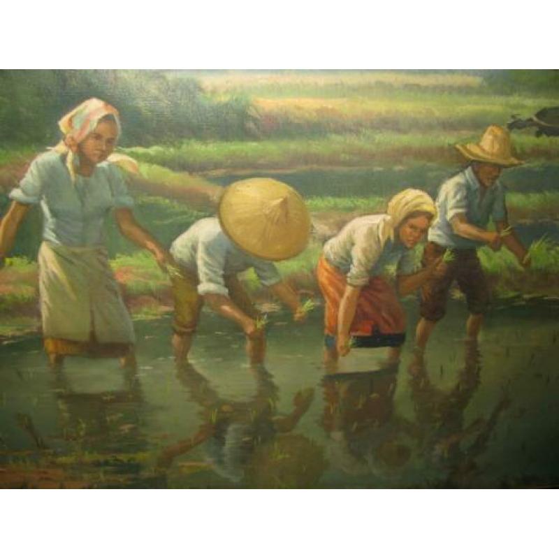 Bali, Indonesie, rijst planten, olieverf op doek