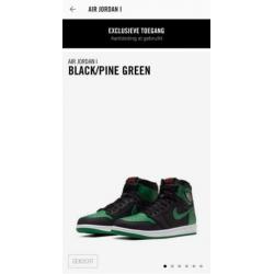 Nike Air Jordan 1 High Pine Green 42
