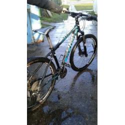 Diverse MTB, cube, sensa en trek te koop