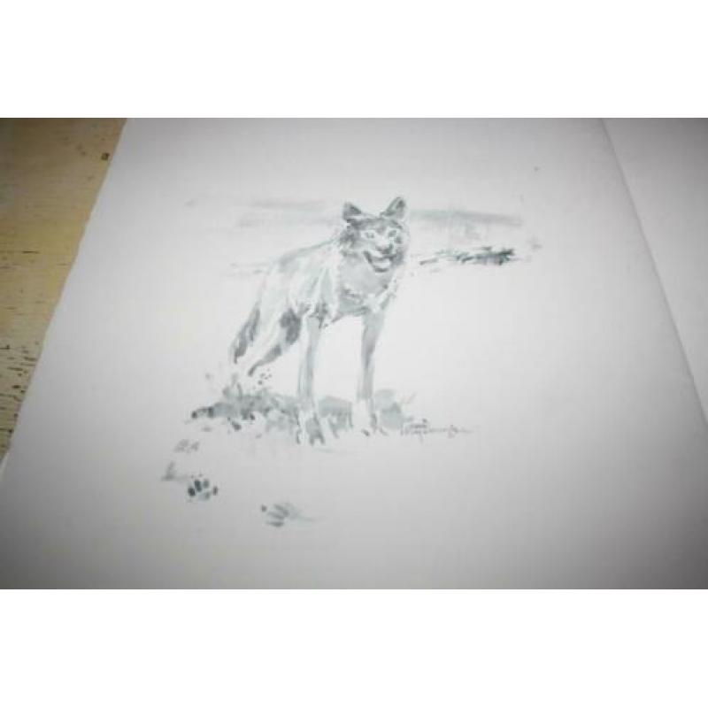 Chaman Sjamaan Patrick Castelyns Joop Mijsbergen wolven wolf