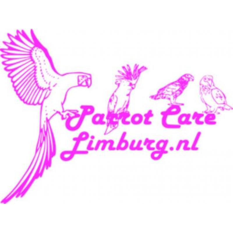 Veilig “ara” Speelgoed, alleen het beste voor uw papegaai!