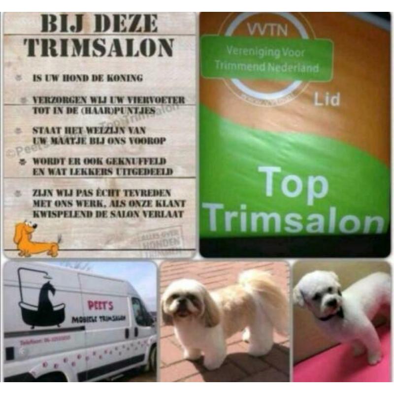 Mobiele top trimsalon nh