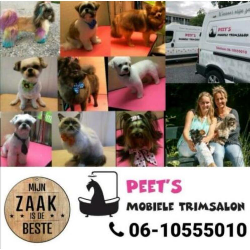 Mobiele top trimsalon nh