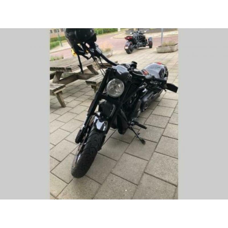 HARLEY-DAVIDSON Nightrod Night Rod Special VRSCDXA 280 (bj 2