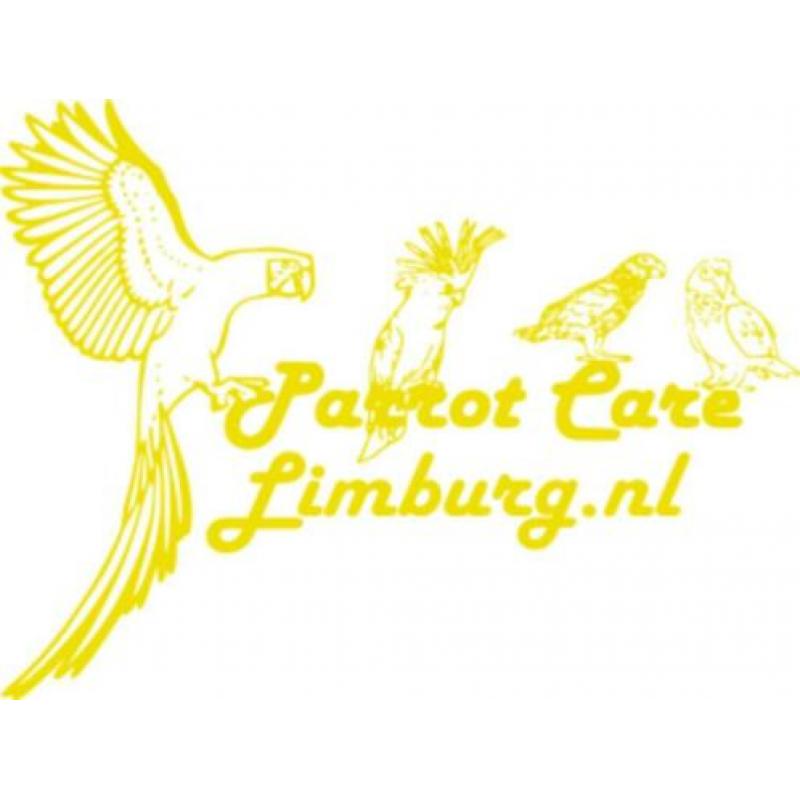 Veilig “ara” Speelgoed, alleen het beste voor uw papegaai!