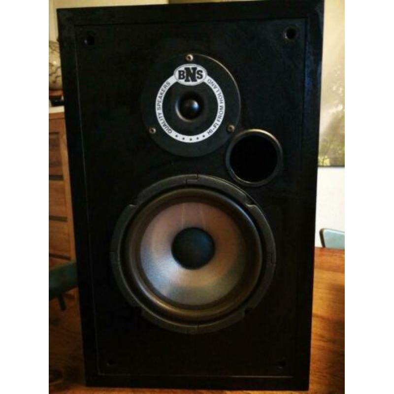 Luidsprekers bns e12s