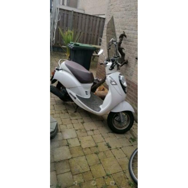 Sym mio 50