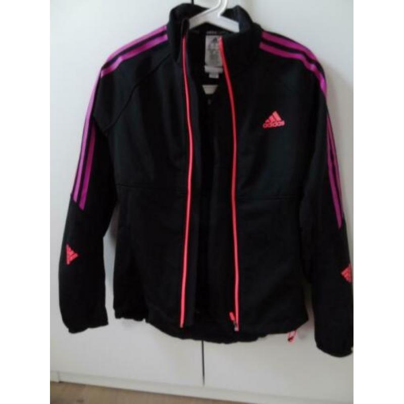 NIEUW Adidas wielrenjasje dames M
