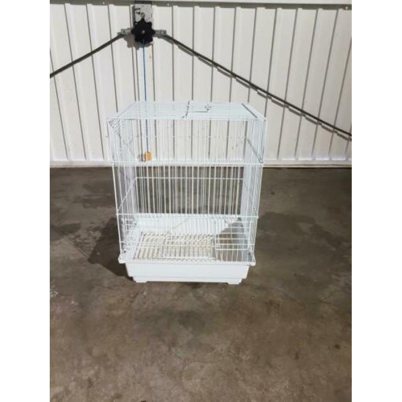 Kleine vogelkooi