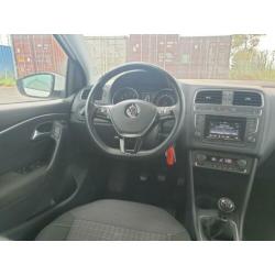VW Polo 1.2 TSi BlueMotion, Xenon, Stoelverw, Climat, Cruise