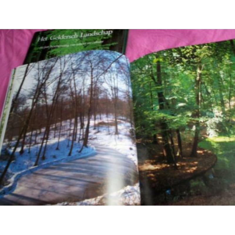 Portret van de Veluwse beken fotoboek Gelderland