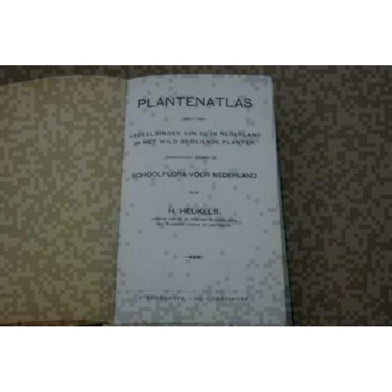 Plantenatlas voor Nederland - Heukels - 1911 !!