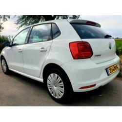 VW Polo 1.2 TSi BlueMotion, Xenon, Stoelverw, Climat, Cruise