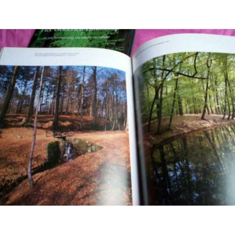 Portret van de Veluwse beken fotoboek Gelderland