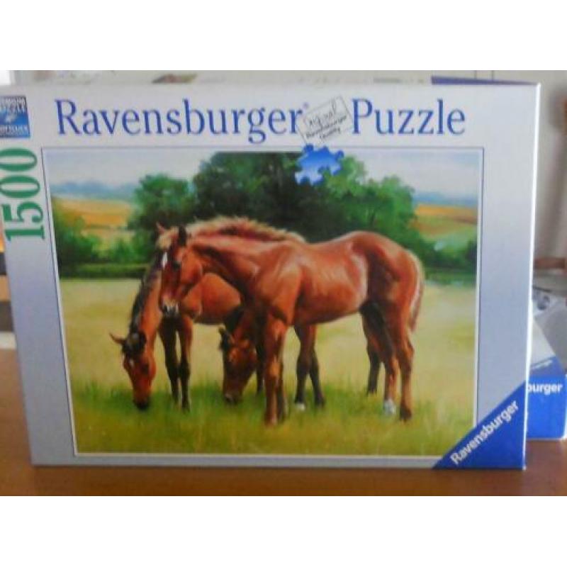 Schmidt puzzel ''Goede Reis '' 2000 stukjes