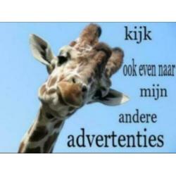 Noppies broekje maat 56