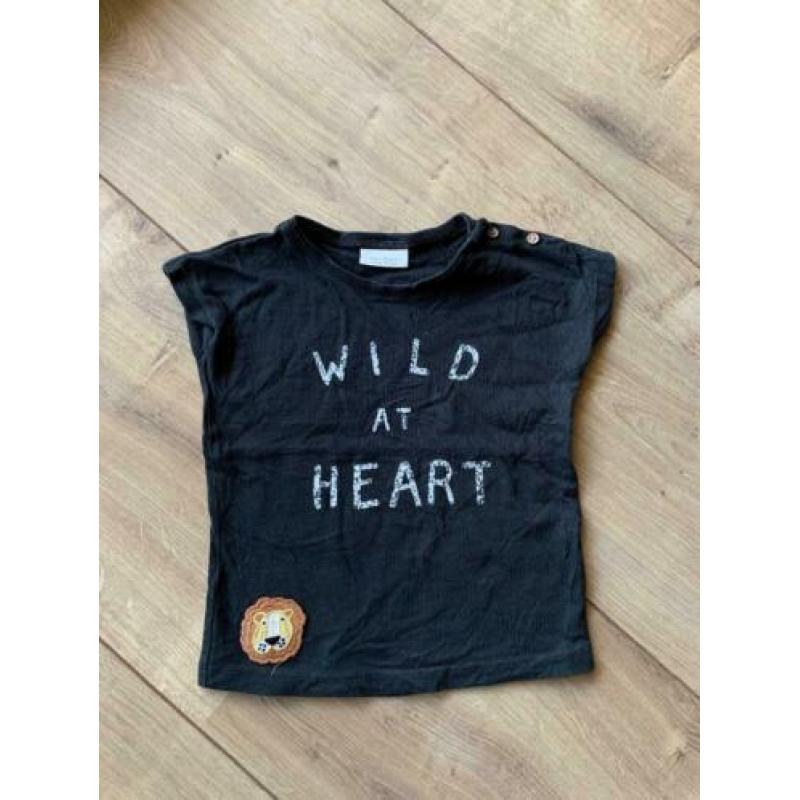 Z.g.a.n. Zwart shirtje van Next, met tekst + leeuw, maat 80