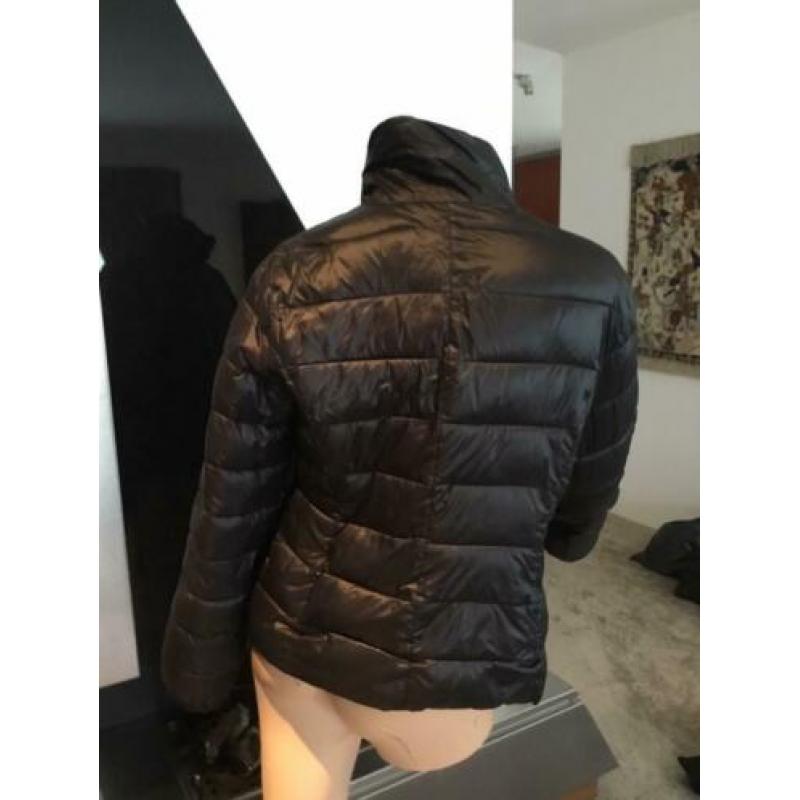 ELISABETTA FRANCHI jas , 2 delig . Apart te dragen, maat L