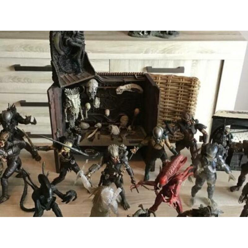 Alien vs predator/neca/mcfarlane