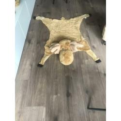 Eland knuffel kleed