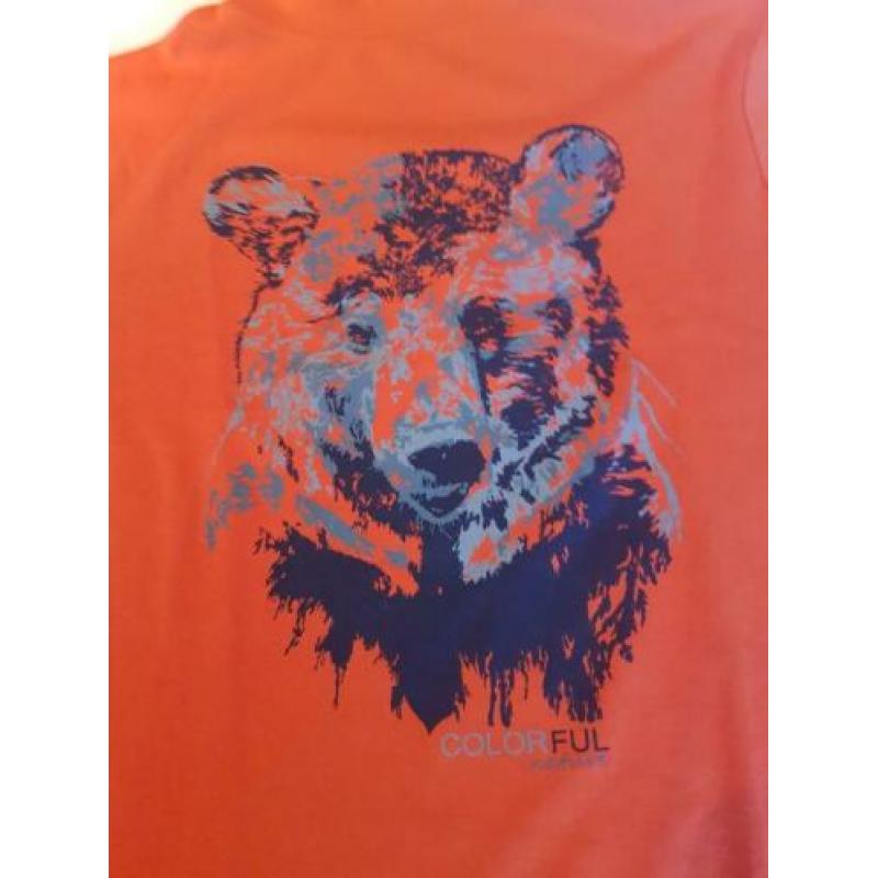 Longsleeve katoen 158/164 NIEUW met coll ski pull Okaidi
