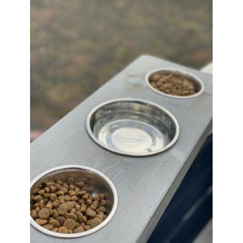 Houten Voerbak hond / kat