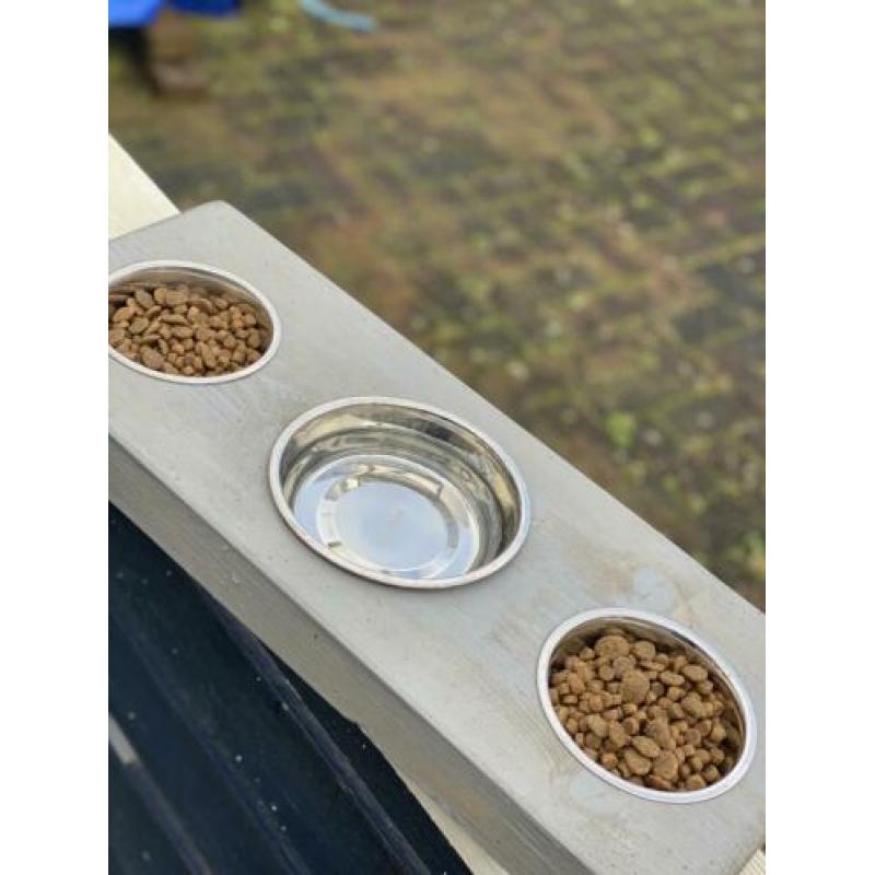 Houten Voerbak hond / kat