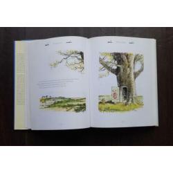disney Winnie the Pooh Collection the complete stories boek