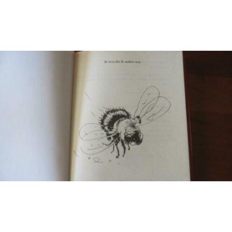 Ik wou dat ik anders was - Paul Biegel