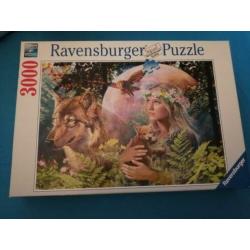 Puzzels diverse 1000-2000-3000-4000