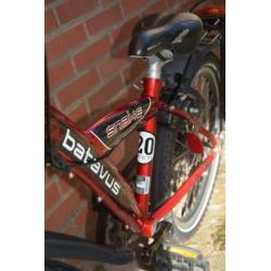 batavus 20 inch