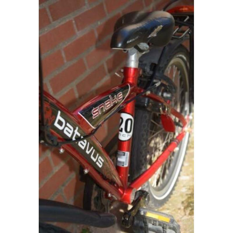 batavus 20 inch