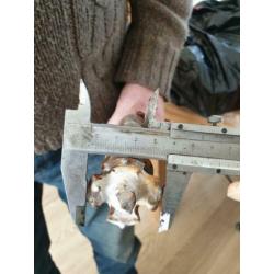 Hilti boor
