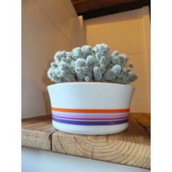 grote funky seventies vintage plantenschaal bloempot germany