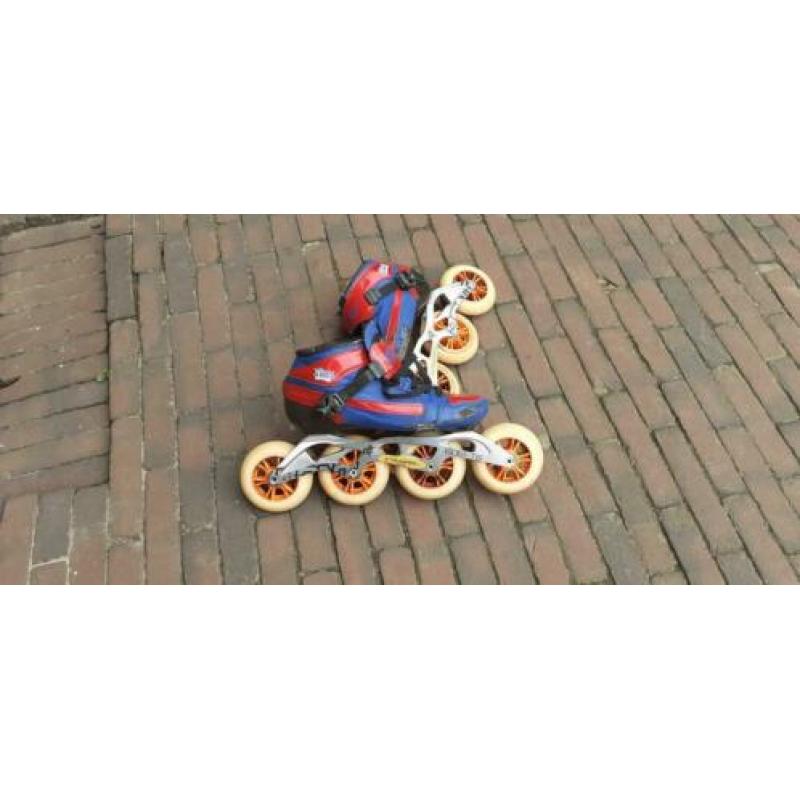 Mooie bont skeelers maat 40 blauw/rood