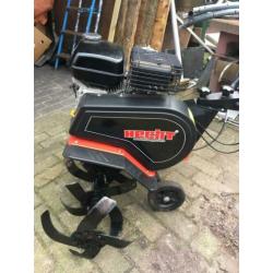 Tuinfrees Hecht